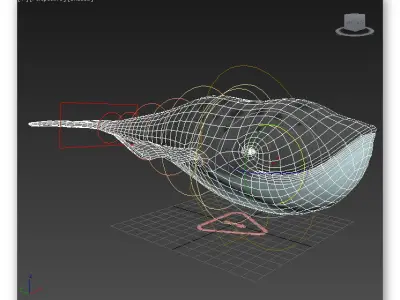 cartoon whale Low-poly 3D model get