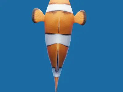 Realistic anemone clownfish ocean reef fish rigged  Low-poly 3D model