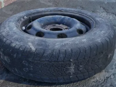3D scanned tires Free low-poly 3D model