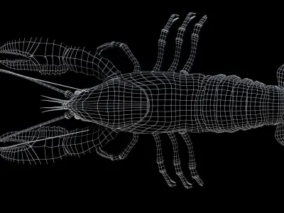 Lobster 3D model purchase