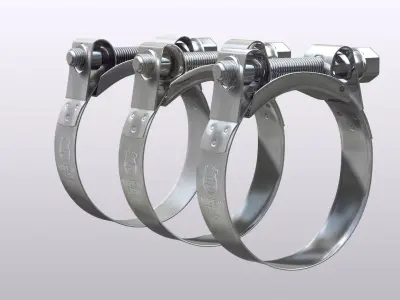 Hose clamp  3D model