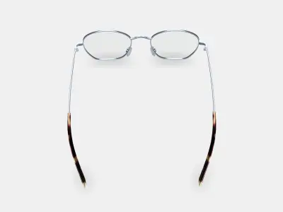Robbie Eyeglasses in Antique Silver 3D model
