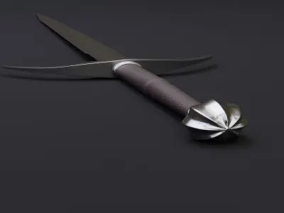 A Medieval Danish Longsword 3D model