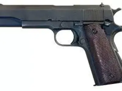 gun8924 Free 3D model
