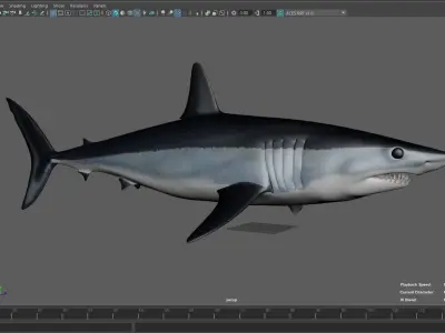 Shark  Mako model with materials 3D model
