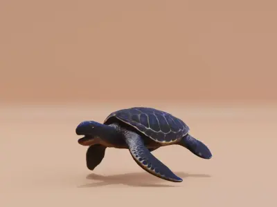 Turtle Sea with its sturdy shell Swimming Low-poly 3D model