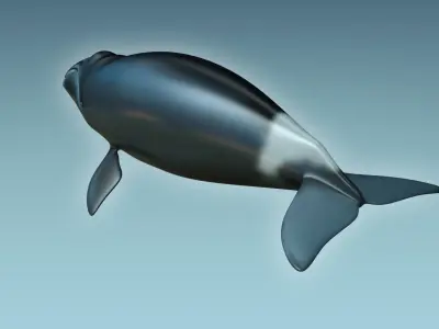 Whale Bowhead 3D model