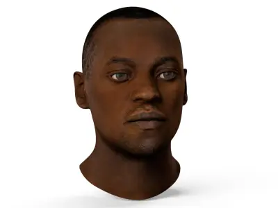 Adult African Male Head 3D model