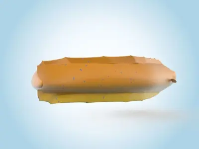 Eel Fish 3D model