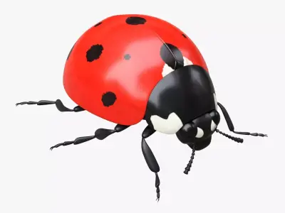 Ladybug 3D model shop
