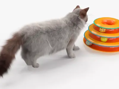 Circular Cat Toy Tower with Moving Balls Fur Animated Rigged 3D model purchase