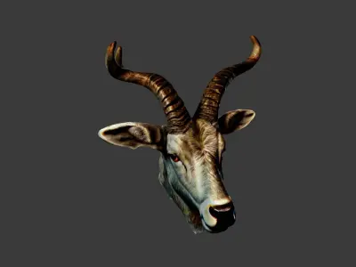 Deer Animal Head Low-poly 3D model get