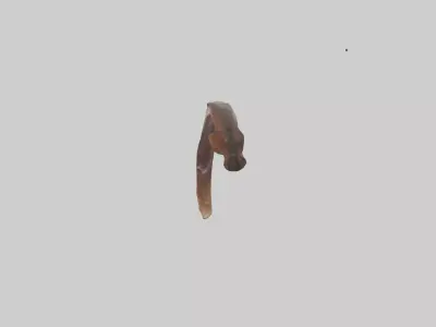 Moose Rib Low-poly 3D model