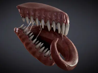  HQ 8K Monster Mouth 
