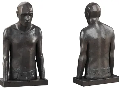  Melancholic male torso in metal 