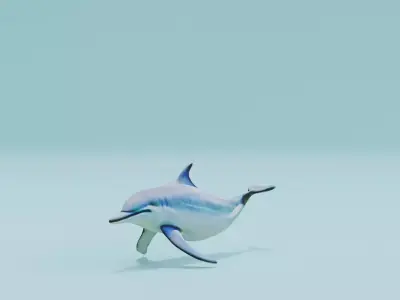 Dolphin white and smooth skin Low-poly 3D model