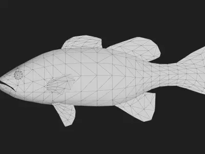 Bass fish Low-poly 3D model order