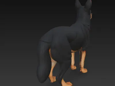 Dog Realistic 3D Model Basic - Low Poly Realistic Low-poly 3D model 2