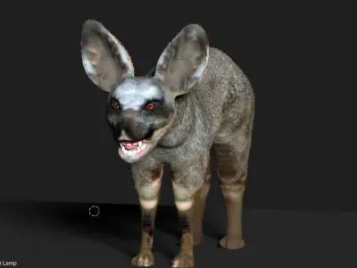 bat eared fox 3D model