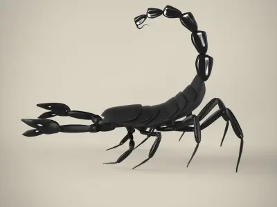 Scorpion 3D model 4