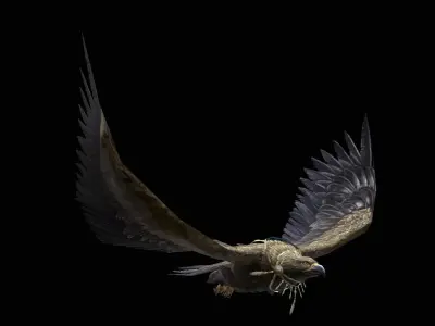 low-poly animated eagle with necklace Low-poly 3D model