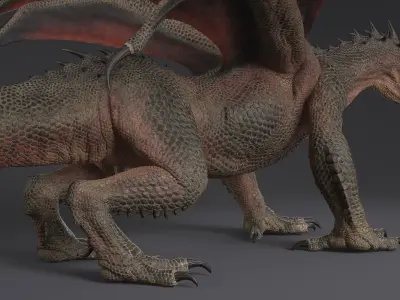 Dragon XO No Rig 3D model