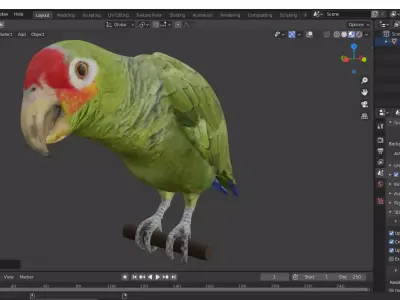 Amazon Parrot 3D Free 3D model