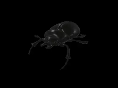 BUGS001 Scarab Low-poly 3D model