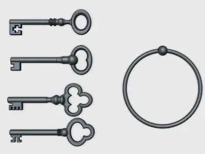 Skeleton Keys 3D print model