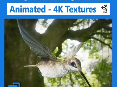 Hummingbird Animated Unity Low-poly 3D model