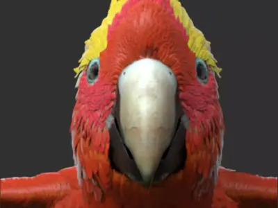 Parrot 3D model order