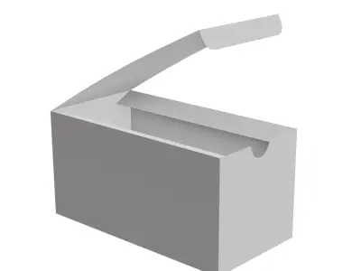 Cardboard Display Box Packaging Mockup Free 3D model