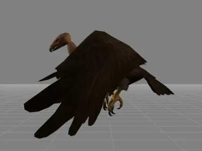 Vulture Bird Buzzard Animal Low-poly 3D model