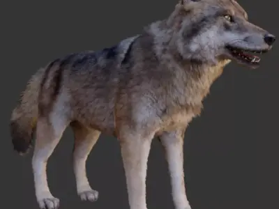 Wolf pack 3D model