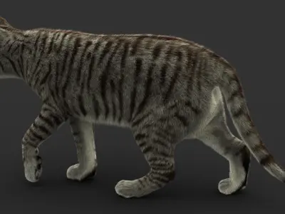 Cat (2) (Mackerel Tabby) (FUR) 3D model