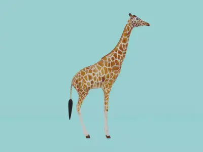 Giraffe Low-poly 3D model buy