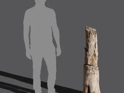  Tall Cut Damaged Stump Model 