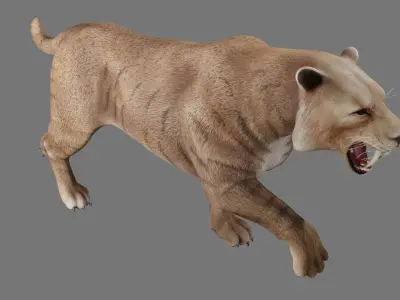  saber tooth 3D model