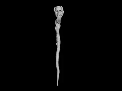 Skull Staff Low-poly 3D model