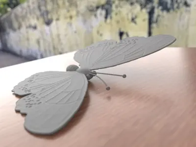Butterfly 3D print model