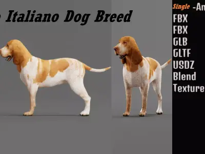 Bracco Italiano Dog Free low-poly 3D model