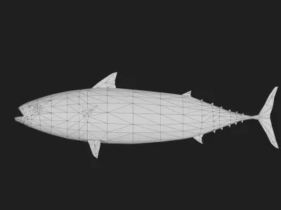 Bullettuna Low-poly 3D model