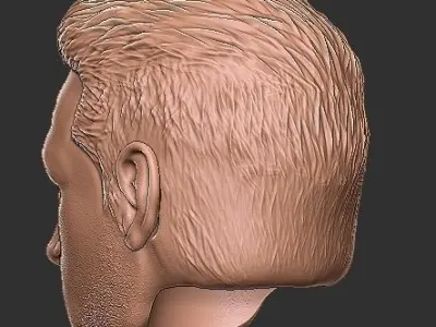 Star Wars Axe Woves Hot Toys Head 3D print model