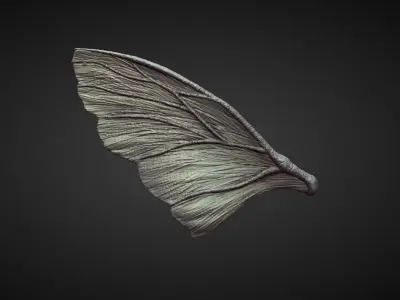 WING38 high poly sculpt 3D model