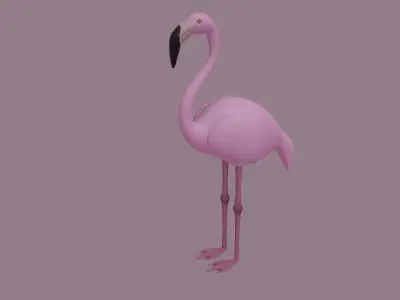Flamingo 3D model buy