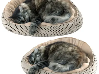 Sleeping Cat 3D model