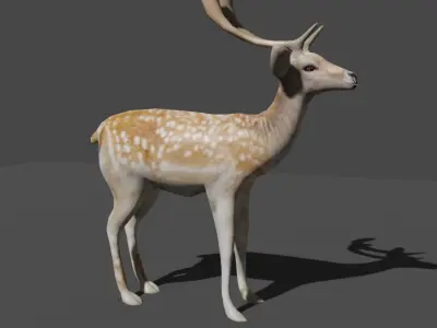AXIS DEER LOWPOLY Low-poly 3D model