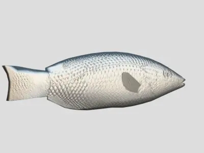 Mauritius hogfish Low-poly 3D model