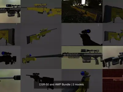 DSR-50 and AWP Bundle 3D Model Collection