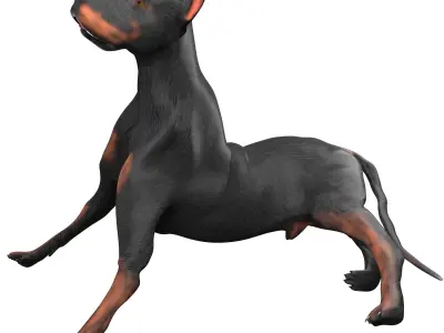 Doberman Low-poly 3D model